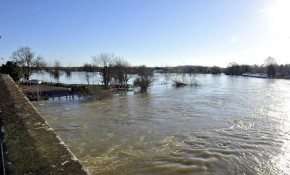 From a mystery tunnel to dredging the Thames How much longer will this go on? The Thames at Chertsey covering Dumsey Meadow