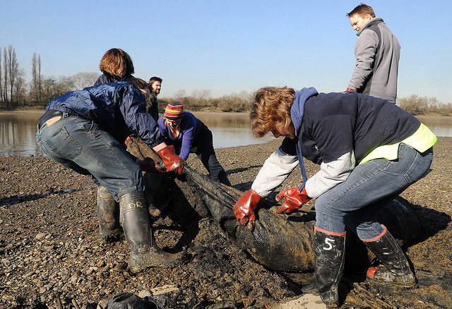 Volunteers working with Thames21 during a river litter pick