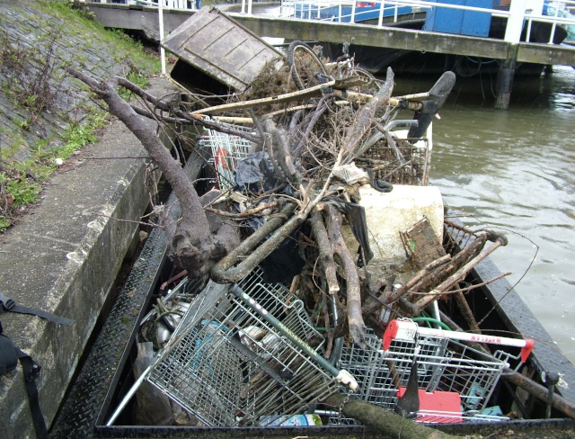 TAC volunteers pulled all these shopping trolleys out of the Thames at Kingston TAC volunteers pulled all these shopping trolleys out of the Thames at Kingston